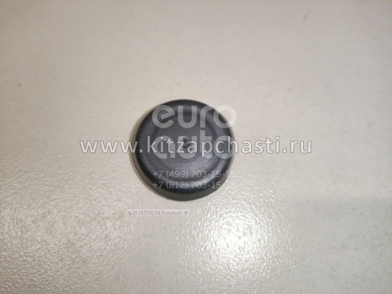 Заглушка МОСКВИЧ 6 6107101U8910
