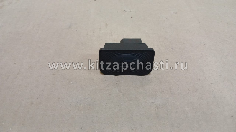 Кнопка открывания двери задка багажника  Geely Coolray 7045068100